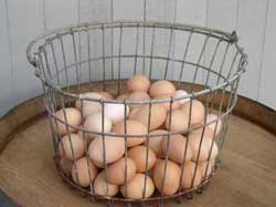 egz