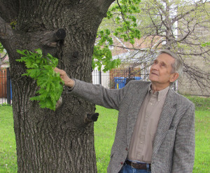 Prof. Vytautas Osvaldas Virkau.
