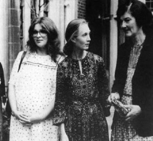 Doctors Birutė Galdikas, Jane Goodall and Dian Fossey (left to right) each enjoyed great success as a field scientist. 