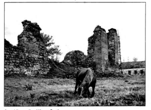Crumbling walls of Krevo Castle.