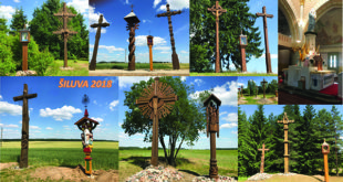 A collection of wayside crosses encountered on the road from Šiauliai to Vilnius.