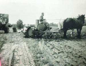 Planting tobacco with a mechanized planter pulled by a team of horses in the early 1950s.