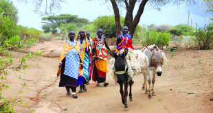 Maasai moterys keliauja į turgų.