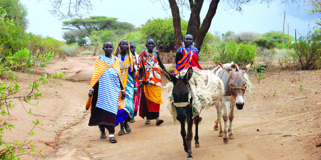 Maasai moterys keliauja į turgų.