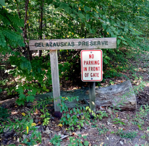 New Hampshire valstijoje „Tikslas – Amerika” komanda rado niekur žemėlapiuose neminimą Gelazauskas rezervatą.