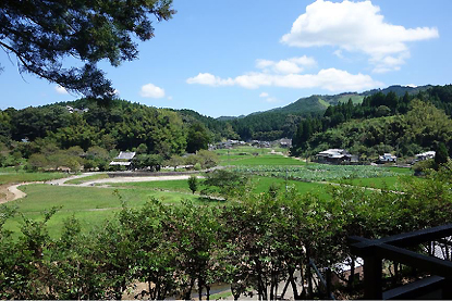 Kraštovaizdis Oita prefektūroje. Iš dešinės lotosų laukas. Jų šaknys ir žiedai čia yra valgomi.