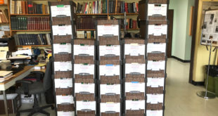35 dėžės – tokio dydžio yra LTSC perduotas Reginos Narušienės archyvas.